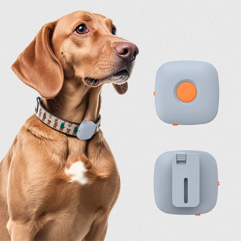 Pet Training Collar Clip with Remote Controller Rechargeable No Shock Vibration Dog Training Device