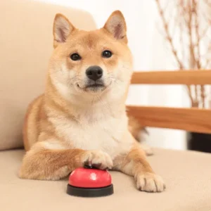 Pet Training Supplies Interactive Dog Training Sound Button Recording Pet Toy With Improved Communication Feature