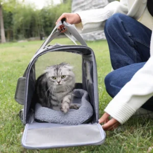 Pet Travel Carrier Folding Pet Backpack Fabric Pet Carrier Portable Solid Color for Dogs and Cats