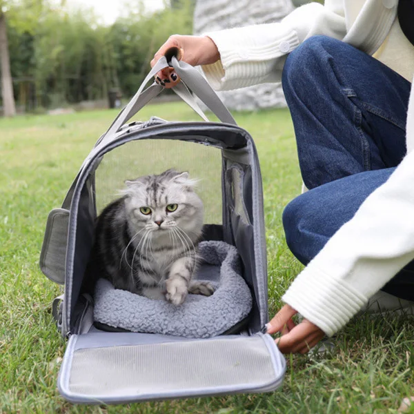 Pet Travel Carrier Folding Pet Backpack Fabric Pet Carrier Portable Solid Color for Dogs and Cats