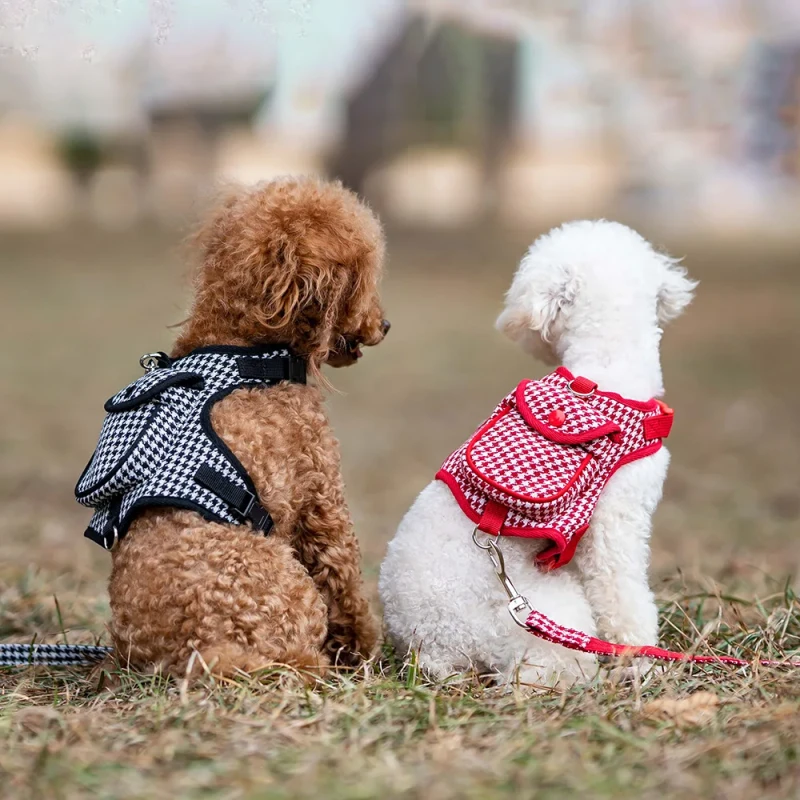 Pet Vest Style Cat and Dog Leash Harness for Dogs Pet Backpack Harness for Small Dogs