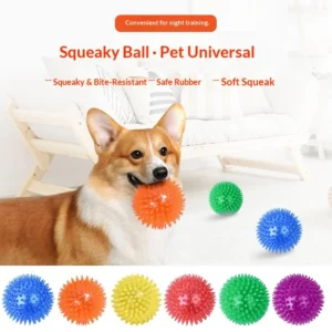 Pet Vocal Dog Toy Ball TPR Bite Resistant Wear Resistant Interactive Bouncy Ball Toy Squeaky Dog Teeth Cleaning Toy
