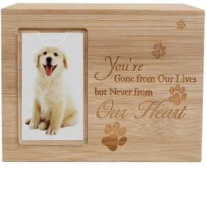Pet Wooden Eco Friendly Creative Dog and Cat Pet Coffin Box Modern Handmade Funeral Supplies Memorial Box Pet Urn