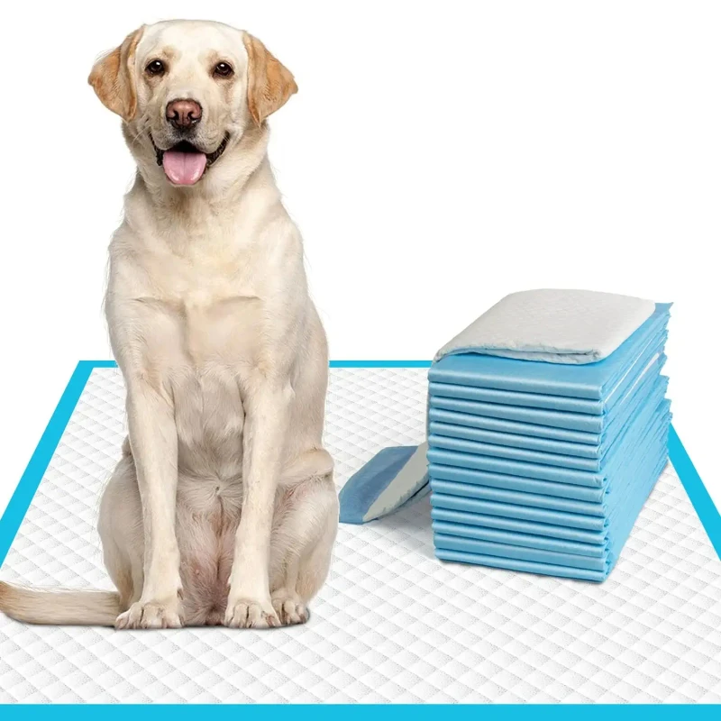 Petdom 60*60 Pet Pee Pad With Leak proof Disposable Dog Puppy Training Pee Urine Pad Empapadores Perro