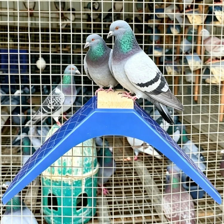 Pigeon Breeding Cage Accessories Detachable Pigeon Perch Stand Plastic+Wooden Blue