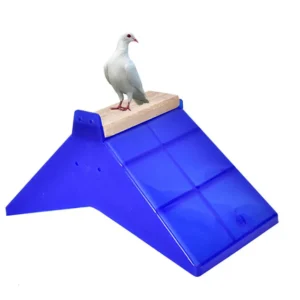 Pigeon Habitat Stand Supplies Plastic Stand Perch Rest Board for Bird