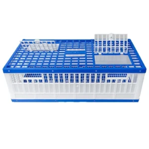 Pigeon Racing Supplies Durable Thickened Plastic Training Cage Rectangle Shape for Release and Transport Pigeon Equipment