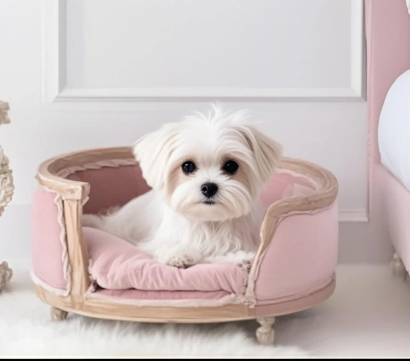 Pink Pet Bed for Home Furniture