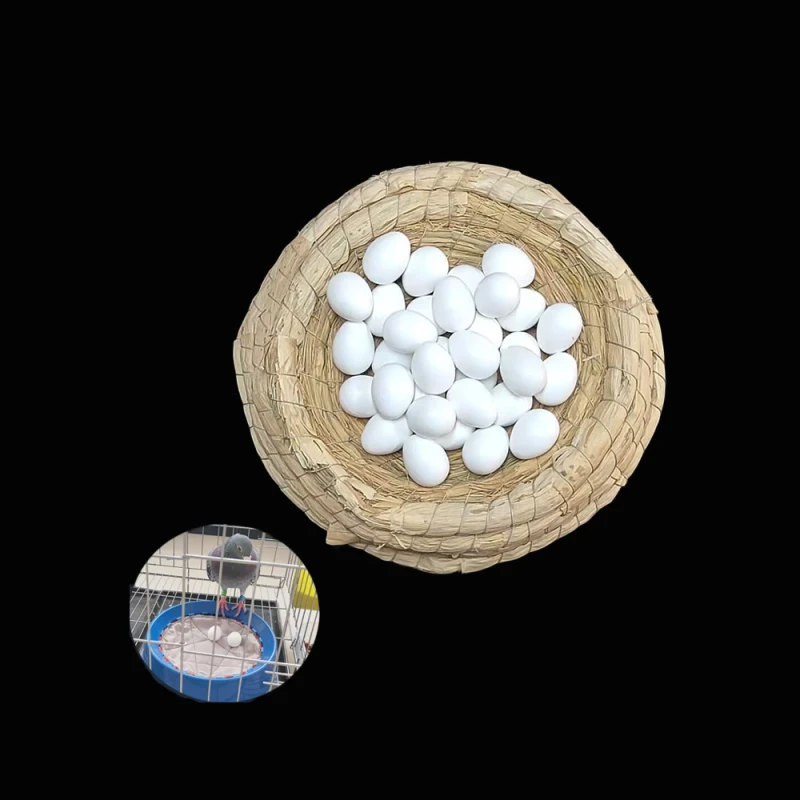Plastic Dummy Pigeon Eggs Solid Simulation Bird Eggs Bird Supplies