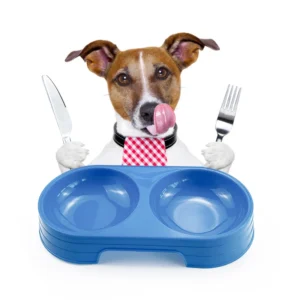 Plastic Pet Double Bowl Dog Food Feeder Pet Accessories