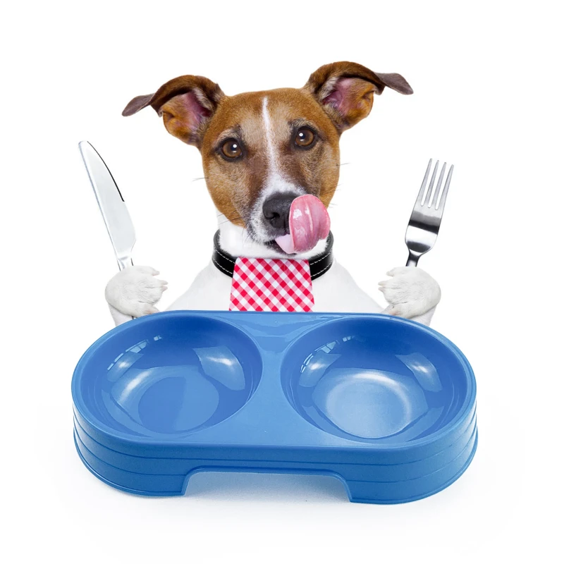Plastic Pet Double Bowl Dog Food Feeder Pet Accessories