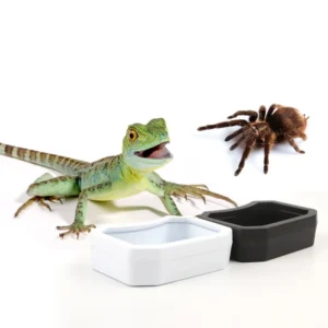 Plastic Reptile Pet Feeding Box Easy to Clean Lizard Guardian Small Pet Water Bowl Pet Life Supplies