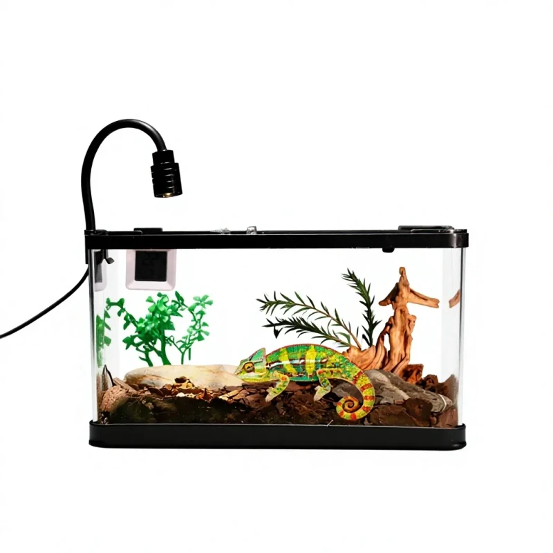 Plastic Reptile Terrarium Fully Enclosed Transparent Winter Heated Tank Removable Top Bottom Frames Clamp Closure for Lizards