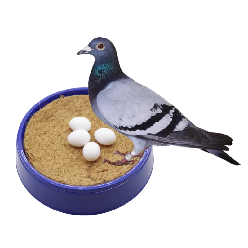 Plastic Solid Simulation Bird Egg Artificial Pigeon Egg Feeding Supplies