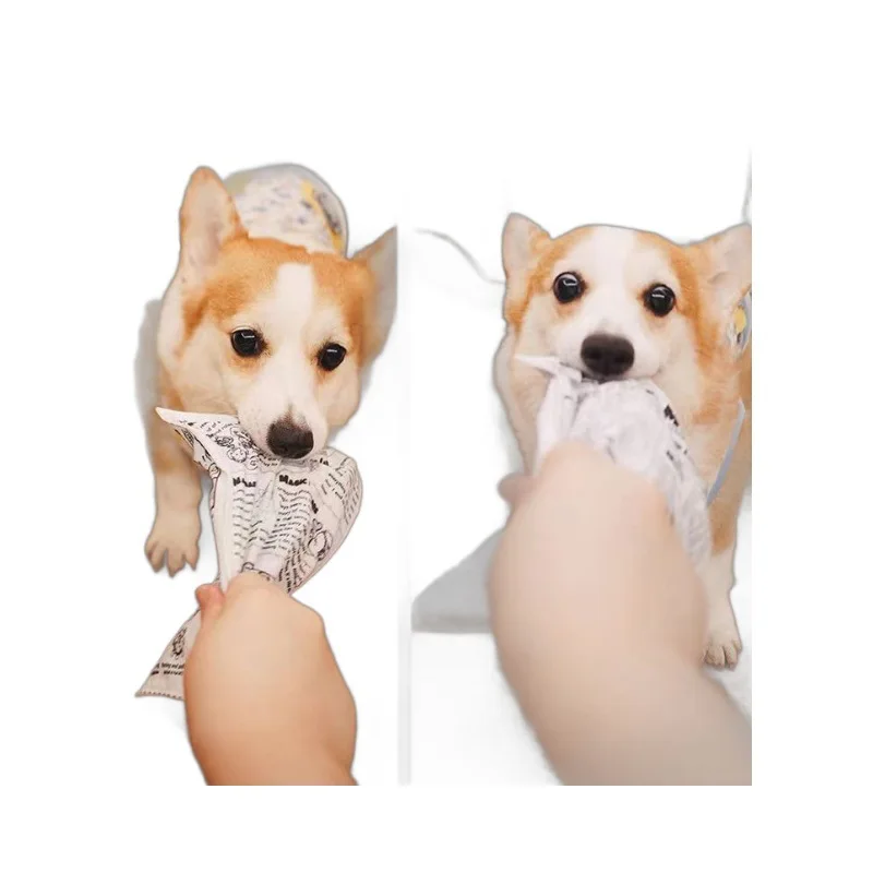 Plastic Squeaky Newspaper Style Chew Toy for Small Medium Breeds Teddy Corgi Design