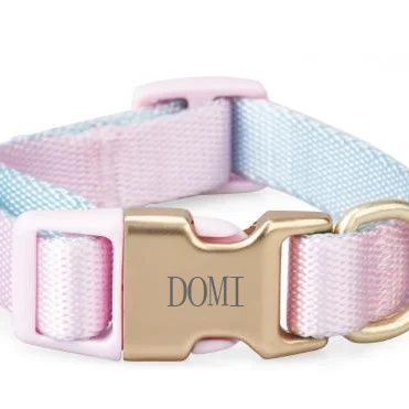 Polyester Leash Pet Lead Foam Handle 1 Leash Dogs Round Long Lead Traction Rope for Small and Medium Dogs Durable