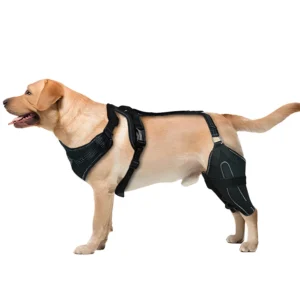 Polyester Pet Training Knee Support Harness for Injured Dogs Hind Leg Rehabilitation Elderly Dogs