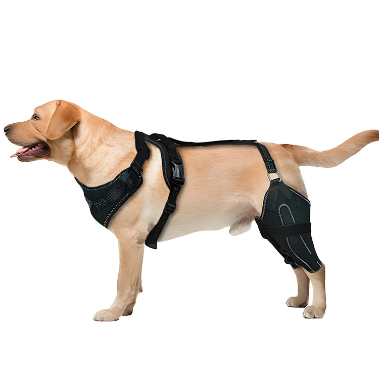 Polyester Pet Training Knee Support Harness for Injured Dogs Hind Leg Rehabilitation Elderly Dogs