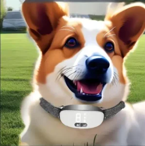Popular Factory Anti Barking Dog Trainer Collar Smart Automatic Waterproof Bark Control Device Vibration Training ABS