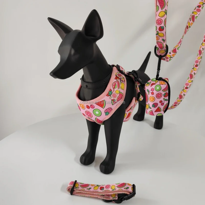 Popular Fashion Manufacturer Dogs Cats Pet Harness Collar Leash ID Personalized Customized Soft Suitable Cute Style Logo