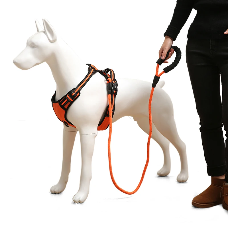 Popular Made in China Luxury High Quality Custom Five Color Fashion Pet Animal Dog Harness Sets