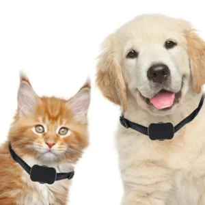 Portable 4G Mini Smart Pet GPS Tracker Real Time Location Collar for Cats and Dogs Anti Lost GSM System Plastic Material