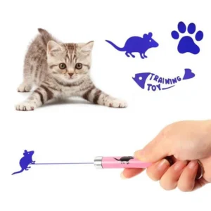 Portable Bone Fish Design Other Pet Training Behavior Products Pen Control Training Keychain Pet Training Toy