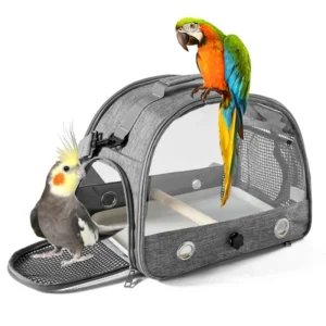 Portable Foldable Oxford Cloth Solid Eco Friendly Fashion Quadrate Bird Carrier Backpack Small Pet Travel Bag Zipper Closure