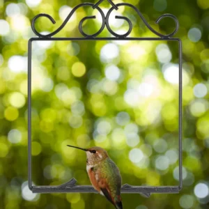 Portable Iron Art Hummingbird Bird Stand for Parrot and Budgerigar Training Supplies