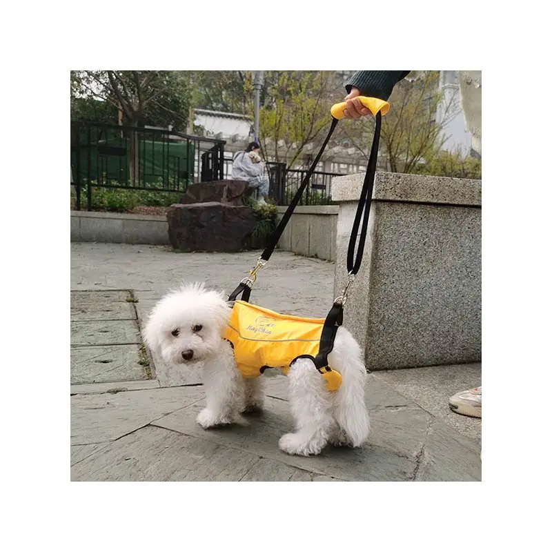 Portable Pet Travel Sling Carrier Handbag Bag Pet Dog Cat Carrier Bag With Leashes