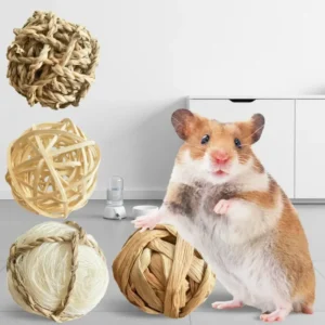 Practical Small Pet Toys Set Eco-Friendly Durable Natural Non Toxic Teething Toys for Rabbit Hamster Parrot Pet Supplies