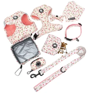 Premium Adjustable Harness Dog Collar Bandanas and Poop Bag Holders Custom Mix and Match Dog Harness Leash for Walking Training