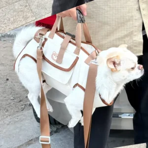 Premium Custom Luxury Multifunctional Shoulder Portable Travel Cat Puppy Pet Carriers Dog Carry Bags