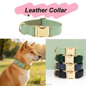 Premium Leather Dog Collar Adjustable Soft Comfortable Pet Collar for Small Medium Dogs OEM ODM Manufacturer
