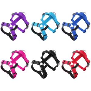 Premium Neoprene I shaped No Pull Dog Collar Pet Harness Set Dog Vest Reflective Fashion Pet Leash Leads Custom Pets Accessories