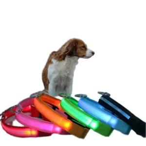Premium Personalized Electric Fashion Luxury Custom Logo Adjustable Nylon LED Pet Dog Neck Collar