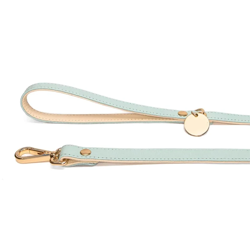 Premium Quality Durable Soft 6 Ft PU Pet Lead PU Leather Dog Leash for Control Safety Training