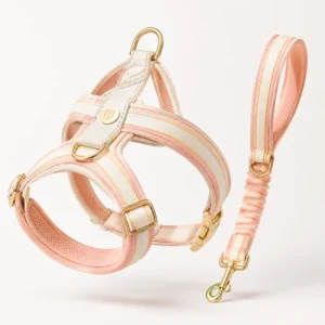 Premium Soft Mesh Striped Pet Harness Combo Elastic Anti Tension Leash Cute Aesthetic Daily Walking Gear