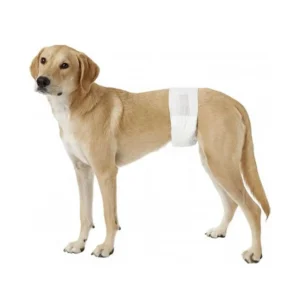 Printed High Absorbent Disposable Pet Diapers with Leak Guard for Female & Male Dogs