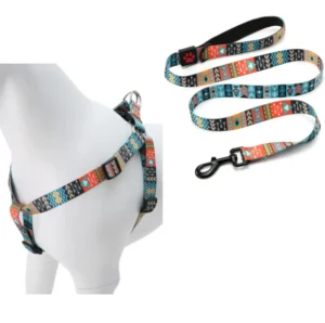 Private Label Designer Pet Supplies Dog Harness Set Adjustable Harnesses and Leads Spring Training Leash Set