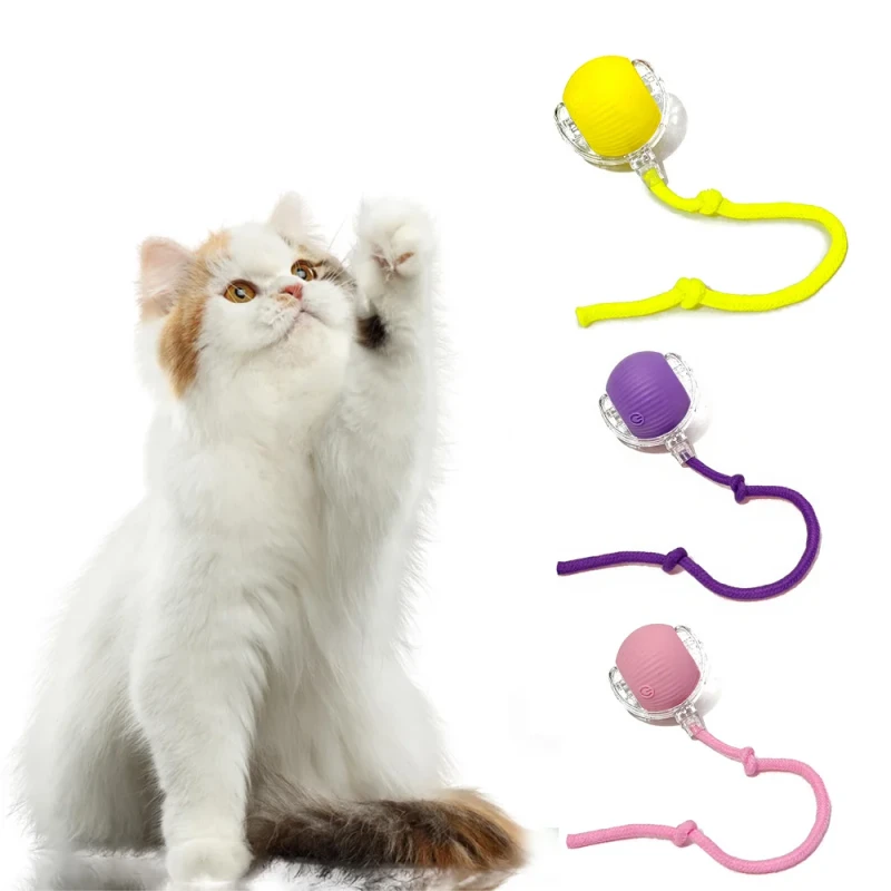 Private Label Rolling Tail Cat Ball Smart Motion Indoor Enrichment Toy Pet Store Novelty Selection