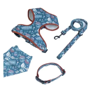 Productos Para Mascotas Dog Accessories Pet Leash and Harness Set Pet Dog Collar and Leash Harness Set