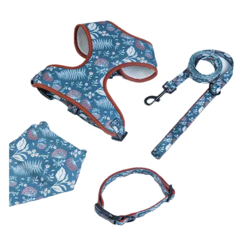 Productos Para Mascotas Dog Accessories Pet Leash and Harness Set Pet Dog Collar and Leash Harness Set