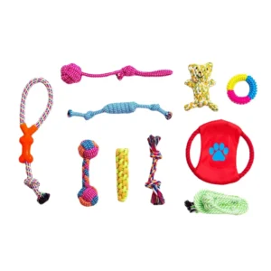 Professional 10PCS Eco Friendly Interactive Pet Chew Toys Set Customizable with Free Shipping