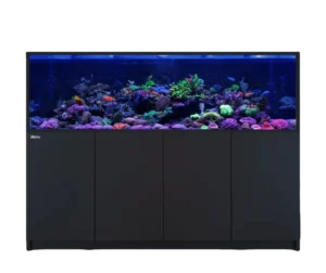 Professional Reef Fish Tank Saltwater Sea Tank with SPS Corals Made of Glass Plastic Includes Aquarium Accessories