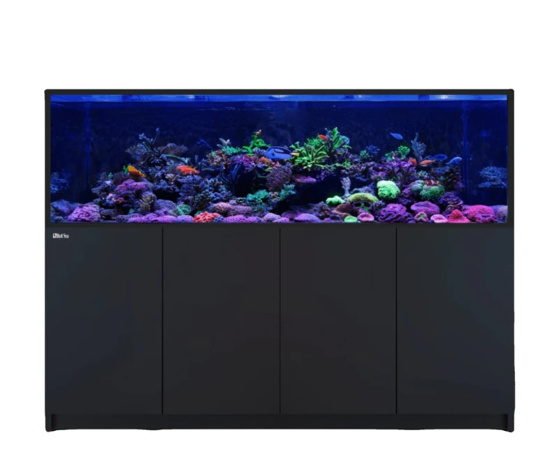 Professional Reef Fish Tank Saltwater Sea Tank with SPS Corals Made of Glass Plastic Includes Aquarium Accessories