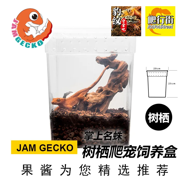 Professional Reptile Pet Eyelash Gecko Tarantula Gekko Tree Dwelling Gecko Reptile Breeding Box High Box