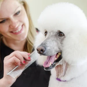 Professional Stainless Steel Simple Pet Hair Grooming Comb for Dogs and Cats Cleaning Product