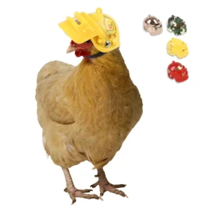 Protective Chicken Helmet Bird Hat Bird Headgear