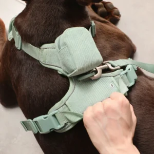 Pull Harnesses for Dogs Custom Luxury Pet Accessories Collar Leash Adjustable Dog Harness Vest Set
